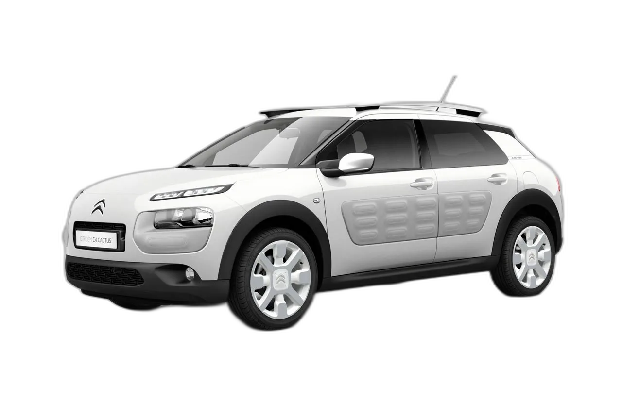 C4 Cactus